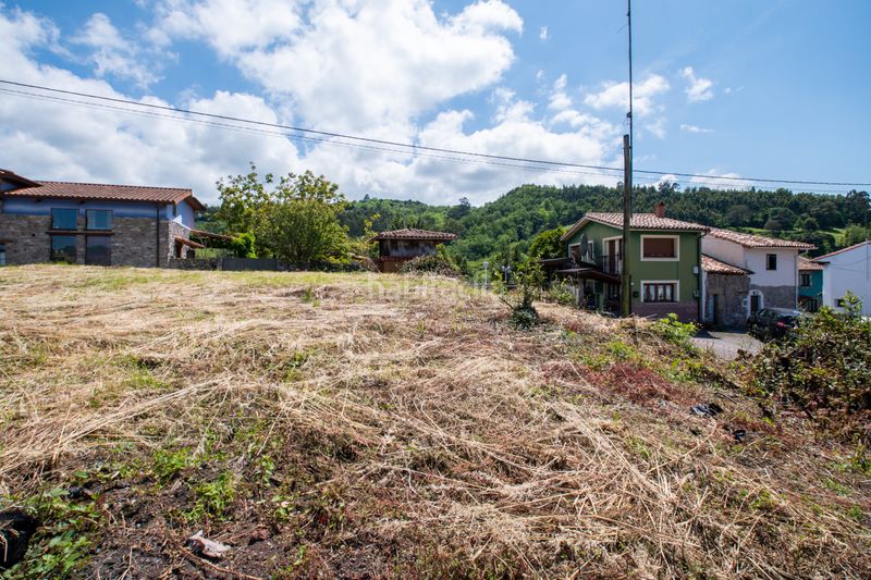 Foto 41af9ee3-54d7-4356-ab26-b6edbcefe3ee. Finca rústica a Selorio - Tornón Villaviciosa