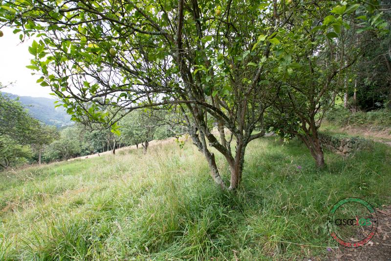 Foto 61e85c0f-3e81-4bde-bc87-73023db47b5c. Casa in peón - al fonfria peón 86 in Parroquias suroccidentales Villaviciosa