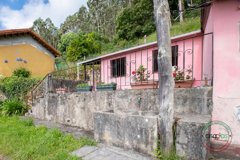 Foto ae237e76-cbb7-4fdf-aac3-ca06489bbf53. Casa in peón - al fonfria peón 86 in Parroquias suroccidentales Villaviciosa