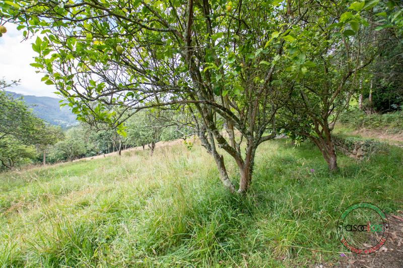 Foto bf2df8b3-07d7-49cb-b4e7-996610ec1419. Casa in peón - al fonfria peón 86 in Parroquias suroccidentales Villaviciosa
