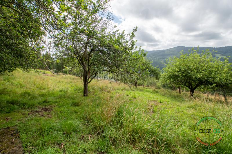 Foto bf46426c-8afe-4e4e-8b72-113798862dd9. Casa in peón - al fonfria peón 86 in Parroquias suroccidentales Villaviciosa