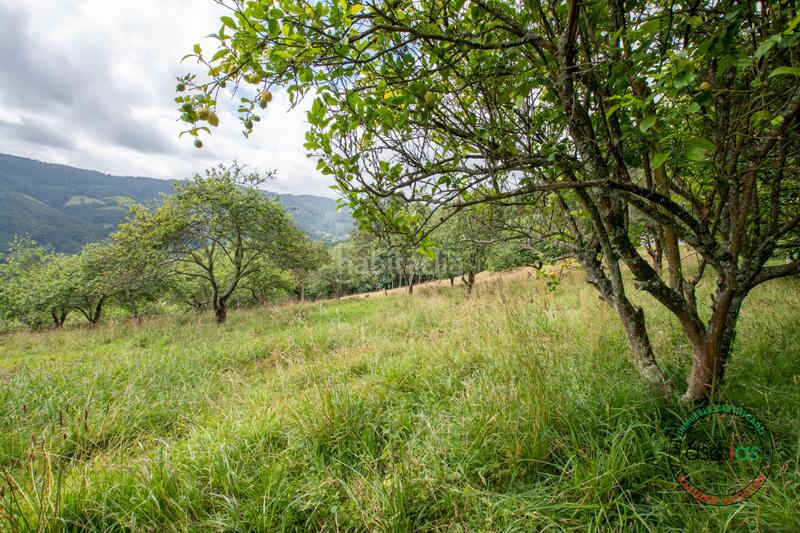 Foto e78822f8-a260-4b72-a497-7787e507995c. Casa in peón - al fonfria peón 86 in Parroquias suroccidentales Villaviciosa