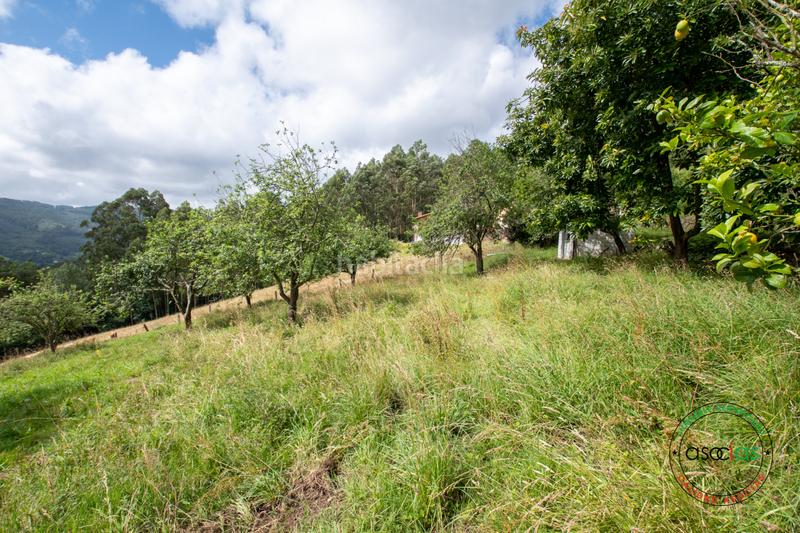 Foto f26482ee-9c5f-46e8-9fb6-1d8dba52aa7c. Casa in peón - al fonfria peón 86 in Parroquias suroccidentales Villaviciosa