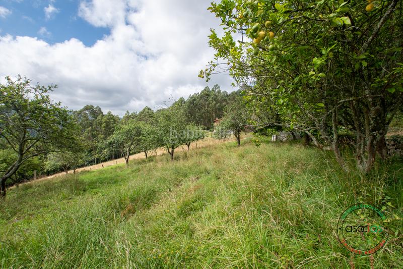 Foto f2a3200e-acde-4b29-9c4f-2c9cd2028b74. Casa in peón - al fonfria peón 86 in Parroquias suroccidentales Villaviciosa