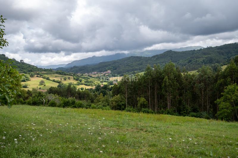 Foto 471678f2-7f50-4d62-999f-b5bf44d1ce9a. Casa en la riera - arriondi casa totalmente independiente entre villaviciosa y , rodeada de naturaleza en Colunga