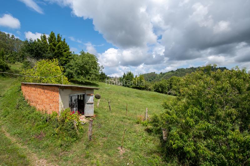 Foto 66d40d80-24ff-4a39-9028-096f4c49d884. Casa en la riera - arriondi casa totalmente independiente entre villaviciosa y , rodeada de naturaleza en Colunga