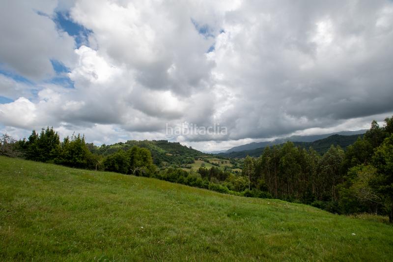 Foto aed8d18b-367a-4968-84f7-e57b15dd557e. Casa en la riera - arriondi casa totalmente independiente entre villaviciosa y , rodeada de naturaleza en Colunga