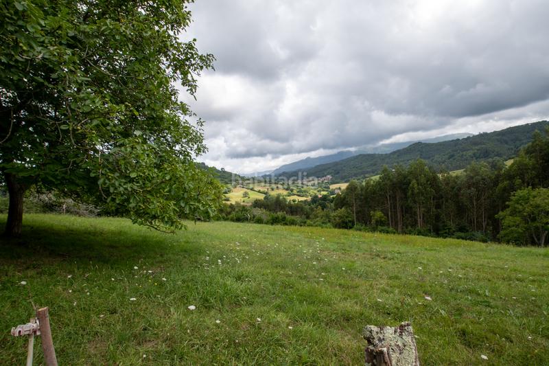 Foto d108ae37-ffc1-472f-83b7-ff76c6e2dbe1. Casa en la riera - arriondi casa totalmente independiente entre villaviciosa y , rodeada de naturaleza en Colunga