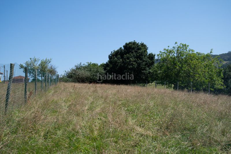 Foto 49fb3a11-bdad-49ea-ac57-4213b9179d51. Finca rústica a Quintes - Arroes Villaviciosa