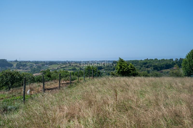 Foto 5edbab0a-2ca5-4129-8f59-3928c36a3490. Finca rústica a Quintes - Arroes Villaviciosa