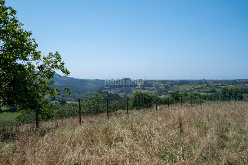 Foto abfcddfc-6017-4053-a17d-f9003fbc79e8. Finca rústica a Quintes - Arroes Villaviciosa