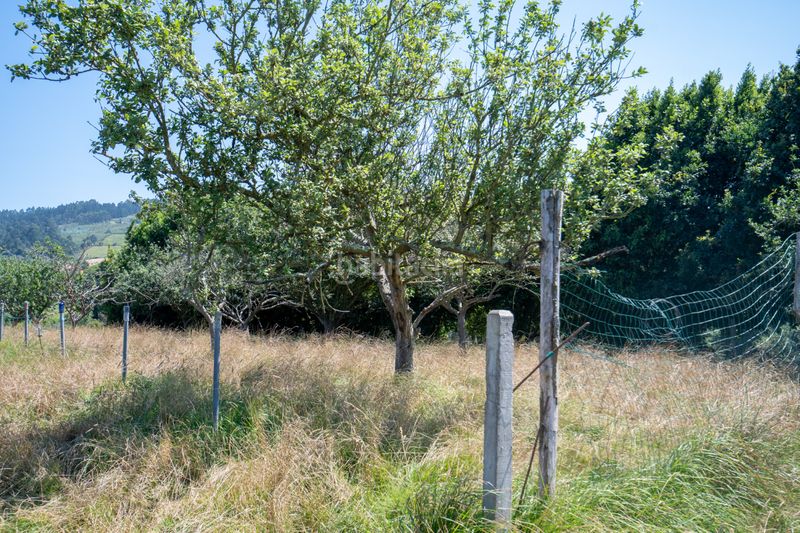 Foto f3d3b532-4f7f-4ae4-bc05-8e31e30926d4. Finca rústica a Quintes - Arroes Villaviciosa