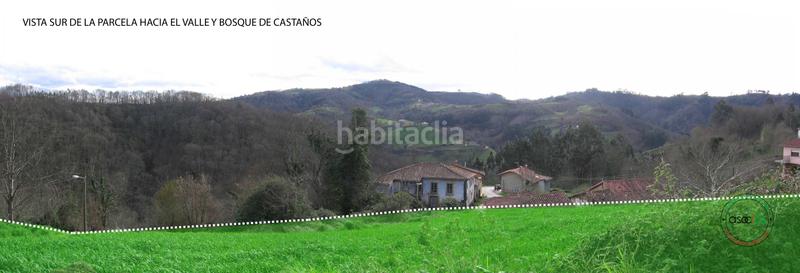 Foto cfe1b56d-040f-4de8-a09a-6b4f5a1771ad. Terrain résidentiel dans Cabranes - niao dans Cabranes