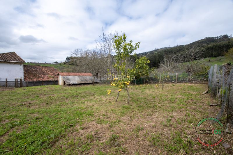 Foto aab76e8a-592c-4506-8c28-c970f34b24d4. Finca rústica a bedriñana a San Justo - Bedriñana Villaviciosa