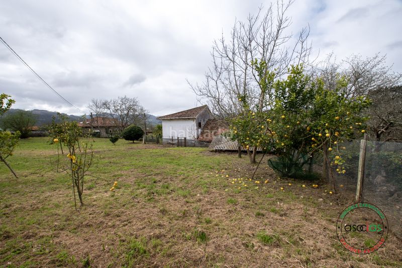 Foto d0f42ab0-c2a0-47e1-9606-90d141bfffcc. Finca rústica a bedriñana a San Justo - Bedriñana Villaviciosa