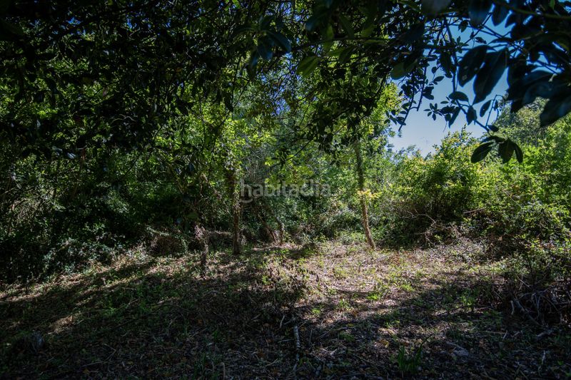 Foto 253c8203-6e47-4c53-b81d-176438021aa3. Finca rústica a Selorio - Tornón Villaviciosa