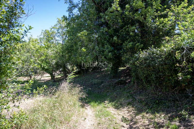 Foto 48f3211e-180f-4d8e-b22c-e8a746dd90ff. Finca rústica a Selorio - Tornón Villaviciosa