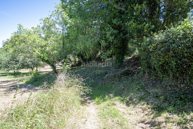 Foto b487dc51-217e-48d8-bf6b-97e3421d0030. Finca rústica a Selorio - Tornón Villaviciosa