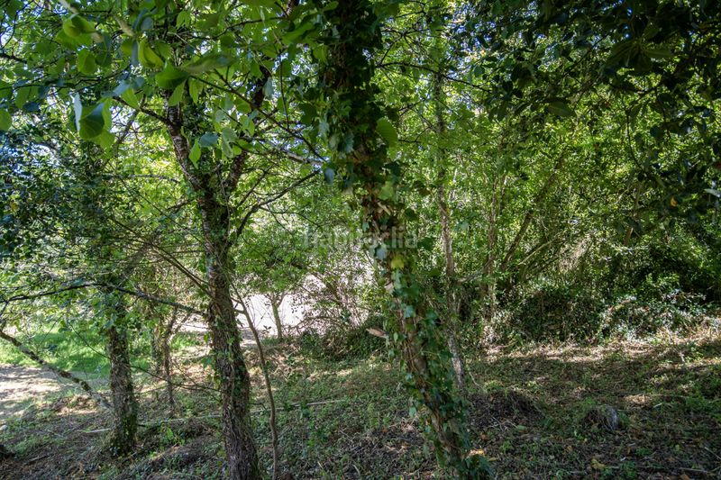 Foto d5823e50-ec54-4f12-b187-fdde9fbd2239. Finca rústica a Selorio - Tornón Villaviciosa