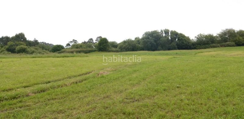 Foto 24ce4c41-56ec-4f0e-8d51-489677a9343b. Terreny residencial a Ribadedeva