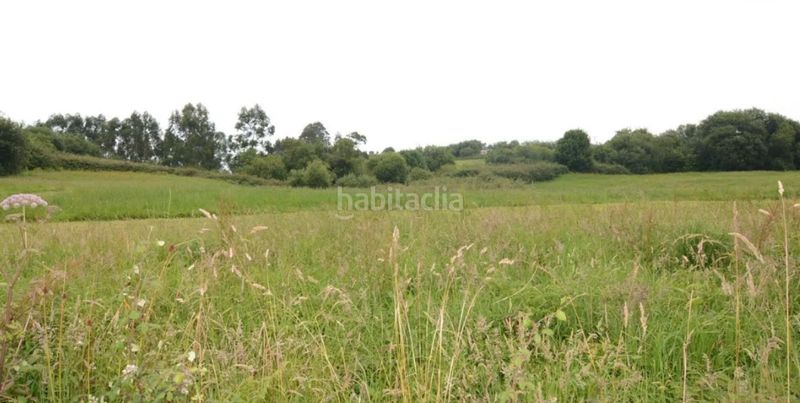 Foto 7b9bbacc-111a-4fce-a7cf-f2d0f8a3cd09. Terreny residencial a Ribadedeva