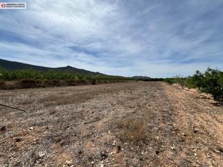 Rural plot in Hondón de las Nieves. Terreno de 5.200 metros en hondón de las nieves muy bien situado