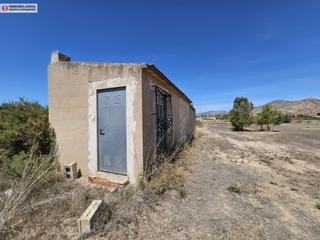Finca rústica a El Castillo. Terreno en aspe de 8.700 metros con casa de 20 m2 muy bien situa