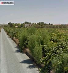 Finca rústica a El Castillo. Terreno en aspe de 22.000 metros muy bien situado  san isidro