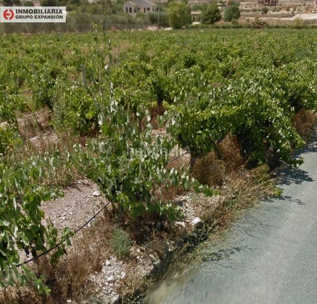 Foto d75cddb7-1632-4709-8a2e-9edfbd84e38f. Finca rústica a El Castillo Aspe