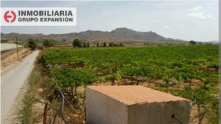 Finca rústica a Pedanías Oeste. Terreno con viña en aspe, la alcana