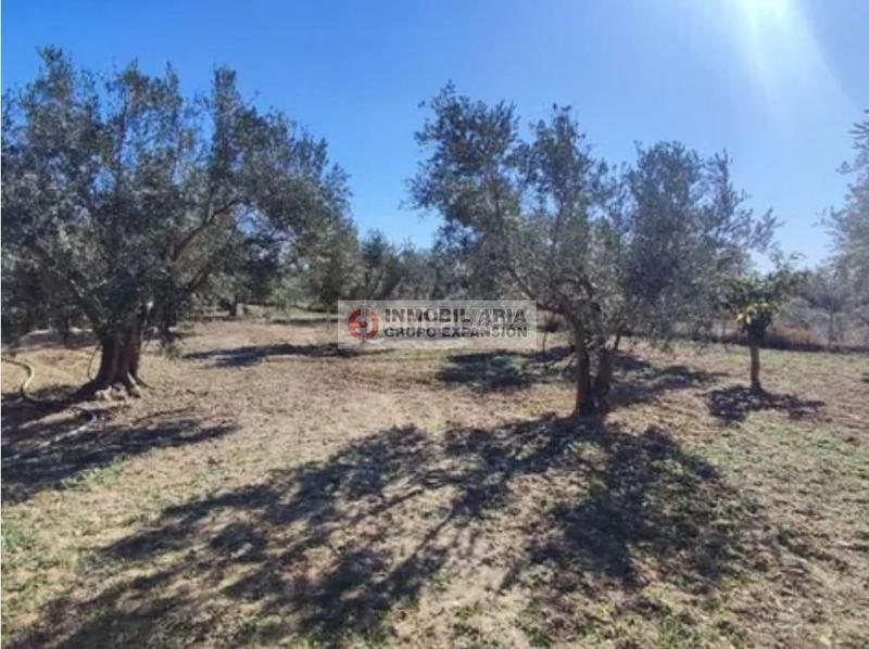 Foto 3483bd08-cfaa-4ea1-8260-ece7f9079b34. Chalet con piscina in Onil