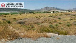Finca rústica a Pedanías Oeste. Terreno aspe camino chillón 16.000 metros