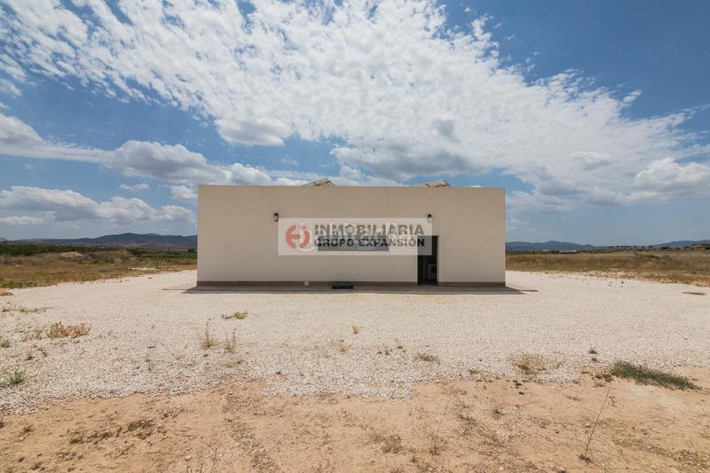 Foto 98025bc9-6bb0-47d9-b2ed-a2fdf477ceaf. Xalet amb piscina a Pinoso