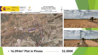 Propriété à Pinoso. Espectacular parcela en pinoso de 16.094 metros