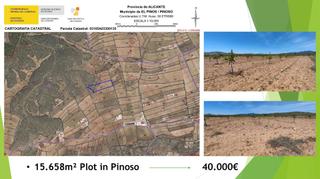 Propriété à Pinoso. Espectacular parcela en pinoso de 15.658 metros