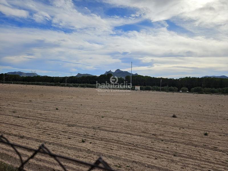 Foto 10880b28-9755-4a41-93c8-1341c1c6c411. Chalet espectacular chalet tipo caserío muy bien situado con 100.000 metros de terreno en Villena