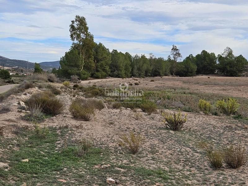 Foto 11d43033-3efb-4e47-b923-ec4c36a5b127. Chalet espectacular chalet tipo caserío muy bien situado con 100.000 metros de terreno en Villena