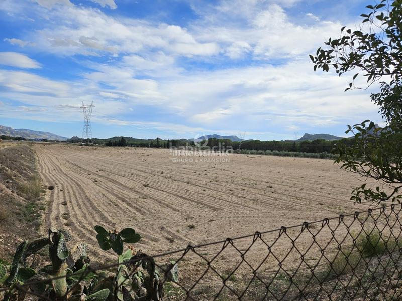 Foto 177db4c4-5b3d-41a8-9209-f07f528d9e30. Chalet espectacular chalet tipo caserío muy bien situado con 100.000 metros de terreno en Villena