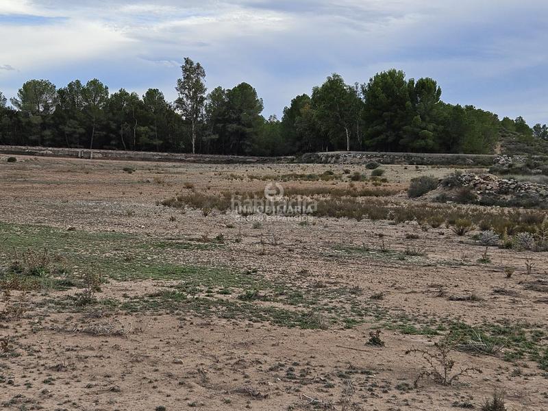 Foto 3595ed7f-e2ca-4662-8fb2-44e1efcf01fa. Chalet espectacular chalet tipo caserío muy bien situado con 100.000 metros de terreno en Villena