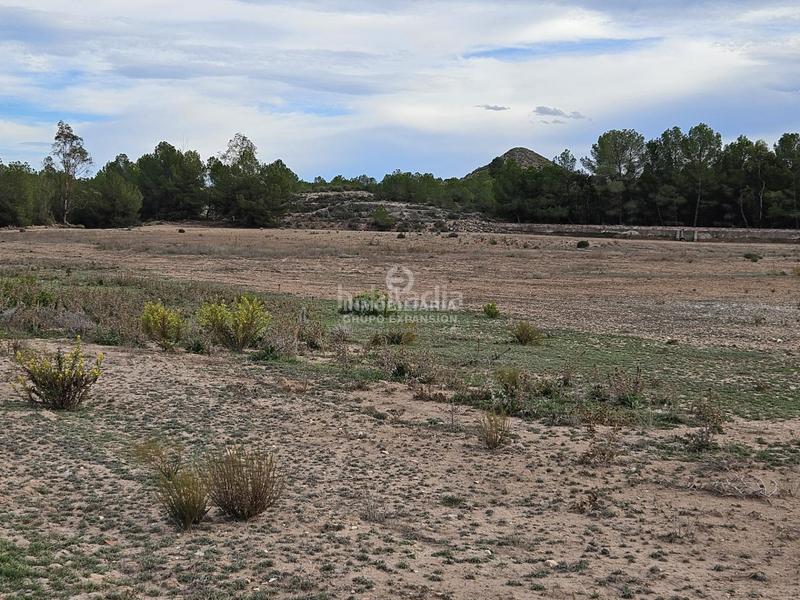 Foto 9565b5f2-c3b2-4887-87c0-24f6288b55ff. Chalet espectacular chalet tipo caserío muy bien situado con 100.000 metros de terreno en Villena