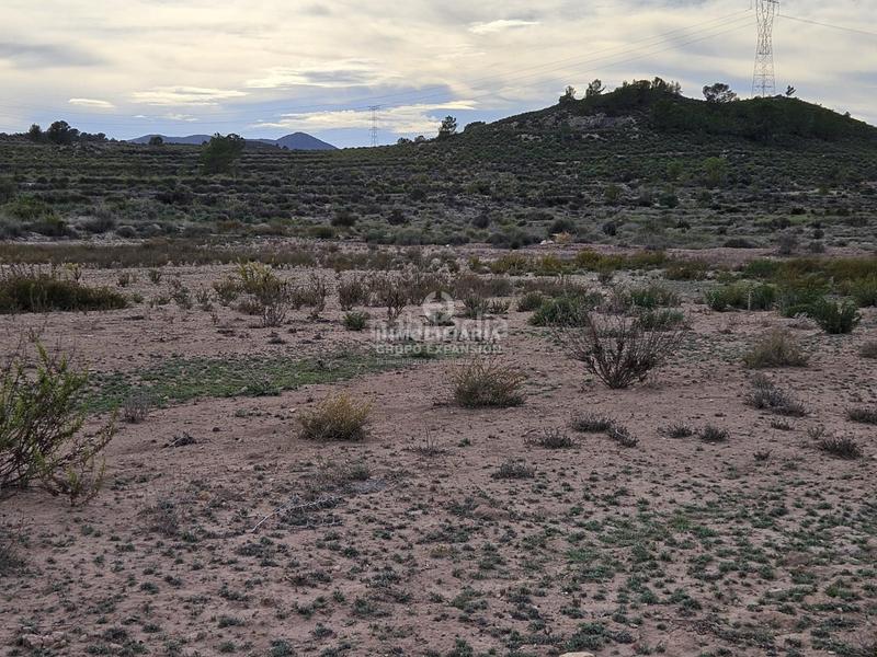 Foto 9b2abcbb-34df-4b3b-9186-d44e7e64dfd0. Chalet espectacular chalet tipo caserío muy bien situado con 100.000 metros de terreno en Villena