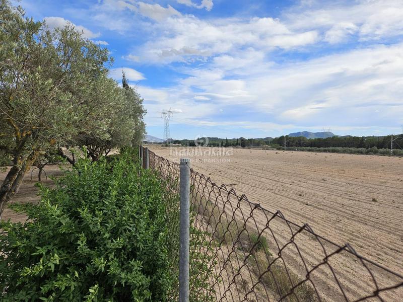 Foto dcae5423-7fca-4ad7-8952-ae7b515aca82. Chalet espectacular chalet tipo caserío muy bien situado con 100.000 metros de terreno en Villena