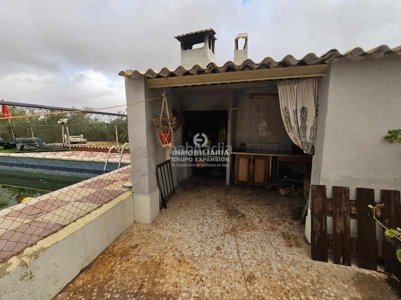 Foto 72ba533e-5f94-4bbf-9752-c68e06b8ea4b. Chalet  con piscina y almacén muy bien situado en Aspe