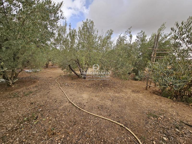 Foto a84003ab-8039-4c6d-8a38-3c3a6b0529c4. Chalet  con piscina y almacén muy bien situado en Aspe