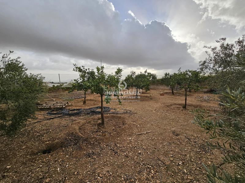 Foto b9e7b884-6afd-48de-bf1a-ae12e039d085. Chalet  con piscina y almacén muy bien situado en Aspe