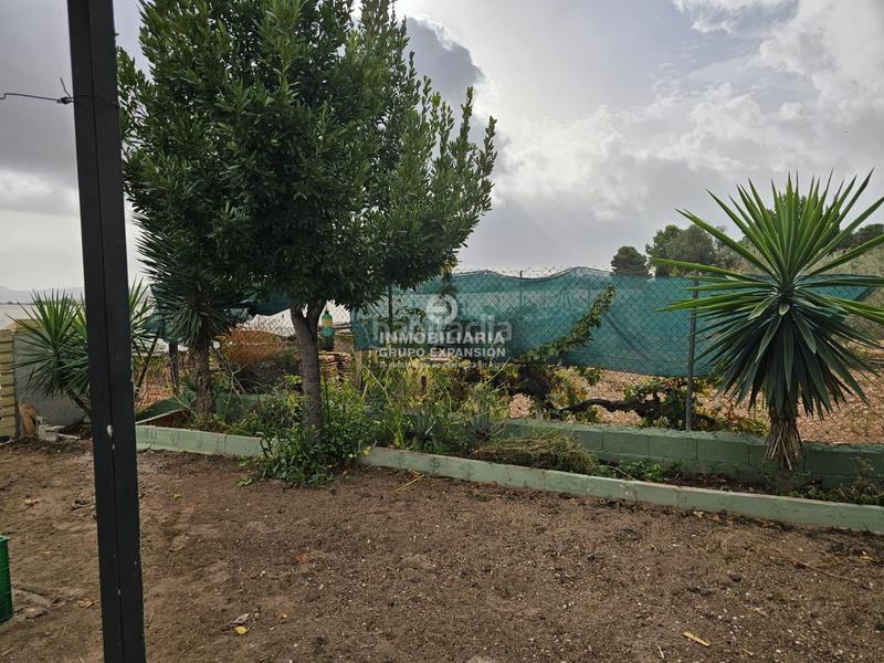 Foto d9687bd6-bde8-4674-9333-2de9a6a5f70e. Chalet  con piscina y almacén muy bien situado en Aspe