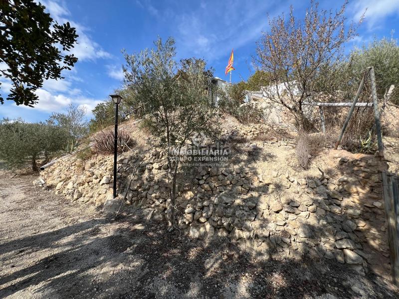 Foto 40d30f6b-94d2-4ac5-985d-449320b8e240. Xalet amb piscina a El Castillo Aspe