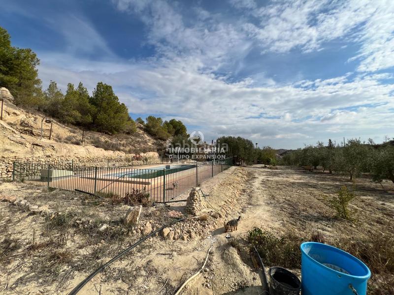 Foto b525f289-cf19-482d-bd4f-07c2f1c5a0a6. Xalet amb piscina a El Castillo Aspe