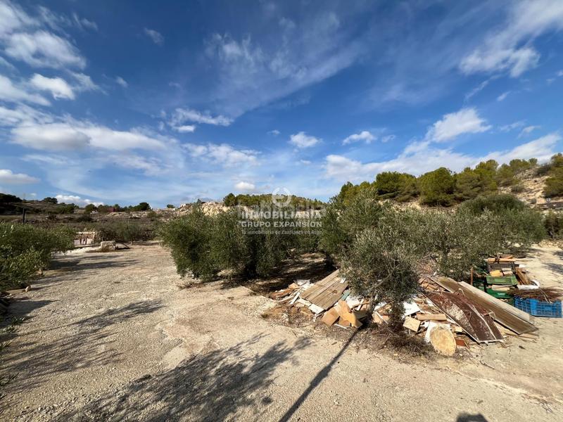 Foto f06d3ddb-f6c4-472c-a51f-27f7d5d4e97f. Xalet amb piscina a El Castillo Aspe