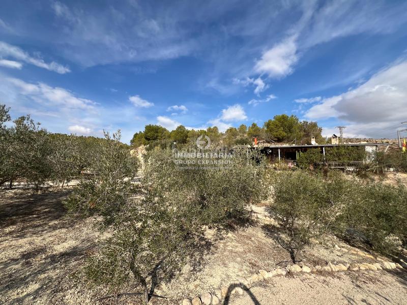 Foto ff2aa937-5f89-46c3-8fd6-1927faaff835. Xalet amb piscina a El Castillo Aspe